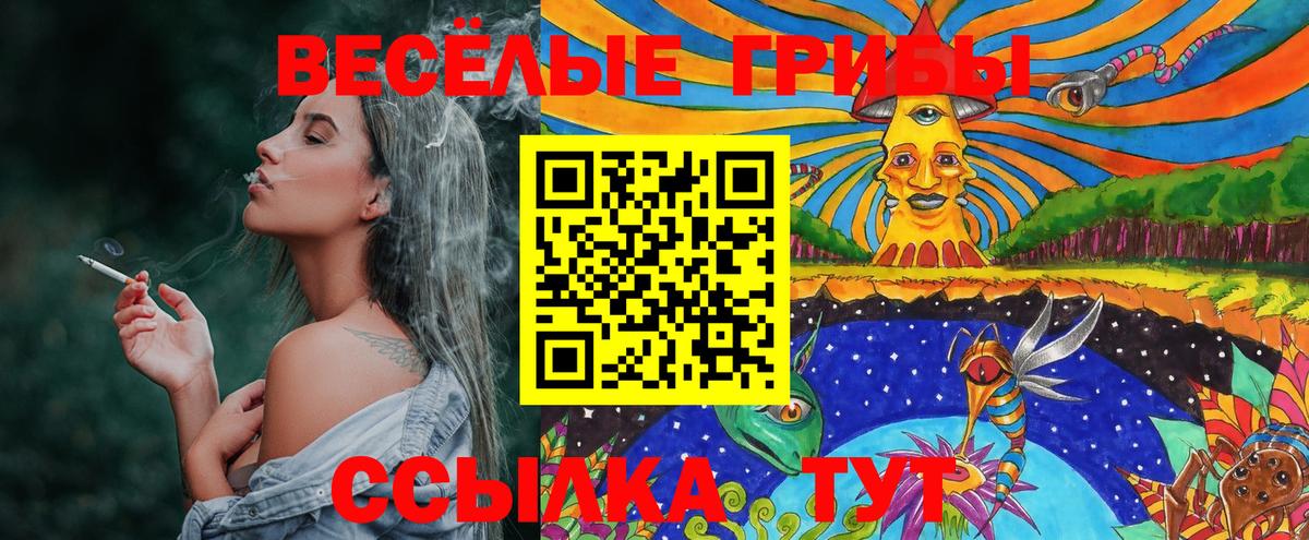Псилоцибиновые грибы мицелий  хочу наркоту  Бугульма  Вход с VPN 